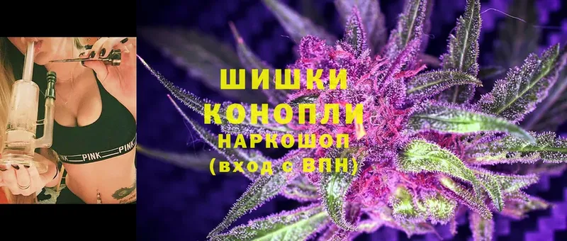 хочу наркоту  Болотное  Марихуана White Widow 